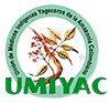 UMIYAC Logo